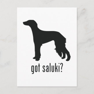 Saluki Postcard