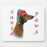 Saluki Santa Paws