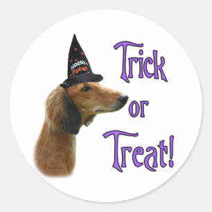 Saluki Trick Classic Round Sticker