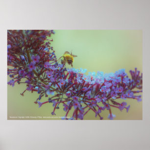 Salutations Poster
