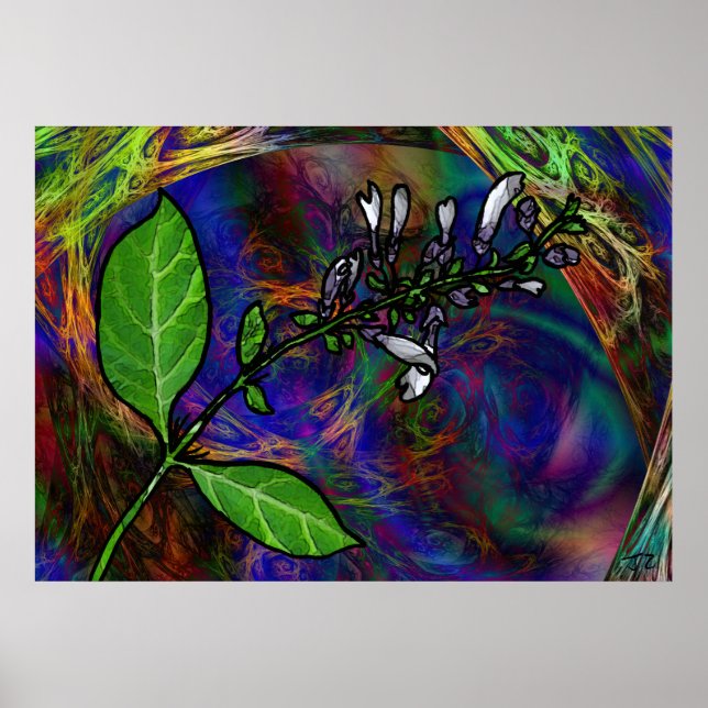 Salvia Divinorum Poster (Front)