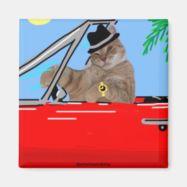 Sam Le Cat Baller Cat Magnet (Front)