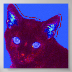 Sam Poster