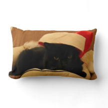 Sam the Cat Christmas Edition Pillow
