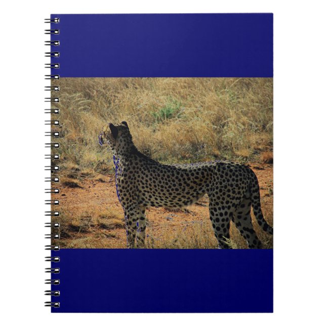 Samburu Cheetah Notebook (Front)