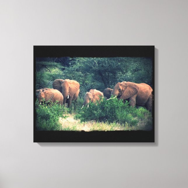 Samburu Elephant Herd Canvas Print (Front)