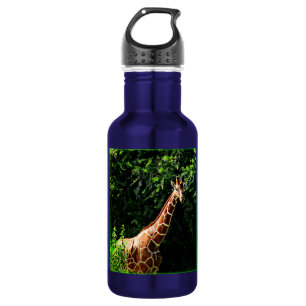 Samburu Giraffe 532 Ml Water Bottle