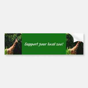 Samburu Giraffe Bumper Sticker