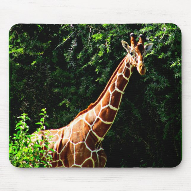 Samburu Giraffe Mouse Mat (Front)