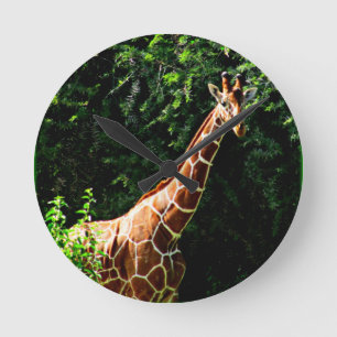 Samburu Giraffe Round Clock