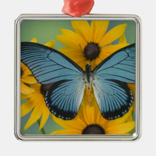 Sammamish Washington Photograph of Butterfly Metal Tree Decoration