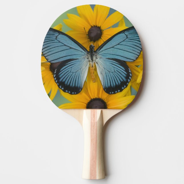 Sammamish Washington Photograph of Butterfly Ping Pong Paddle (Front)