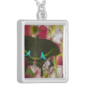 Sammamish, Washington Tropical Butterfly 14 Silver Plated Necklace (Front Left)
