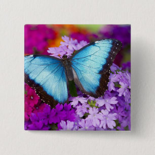 Sammamish Washington Tropical Butterfly 15 Cm Square Badge