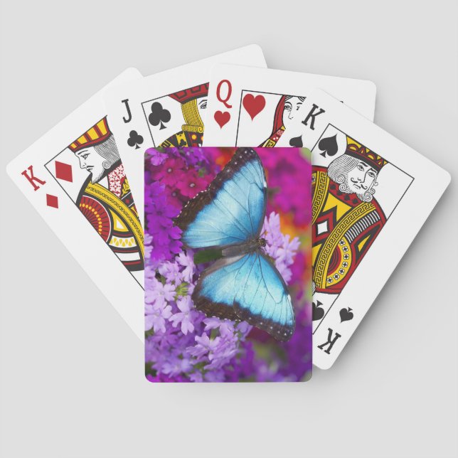 Sammamish Washington Tropical Butterfly Playing Cards (Back)