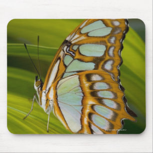 Sammamish, Washington, USA Mouse Mat