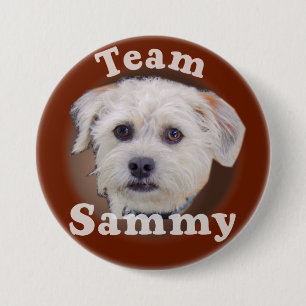 Sammy button