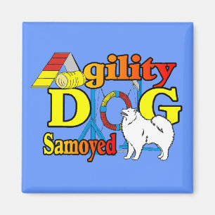 Samoyed Agility Gifts Magnet