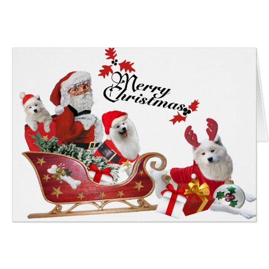 Samoyed and Santa in Sleigh cards