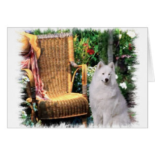 Samoyed Art Gifts