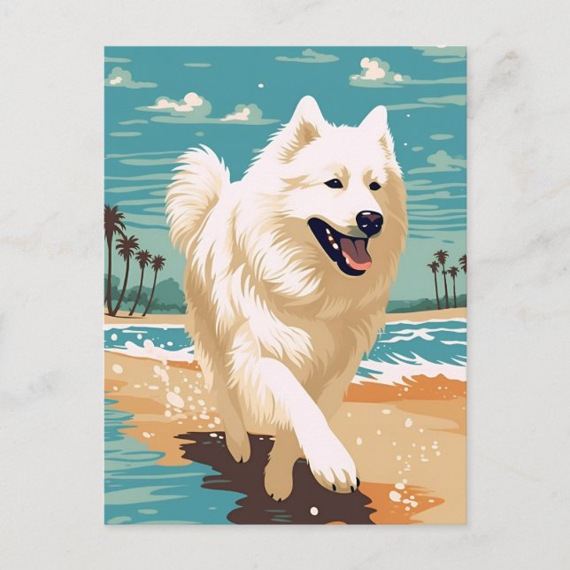 Samoyed at the beach postcard (Front)