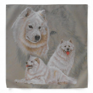 samoyed bandana