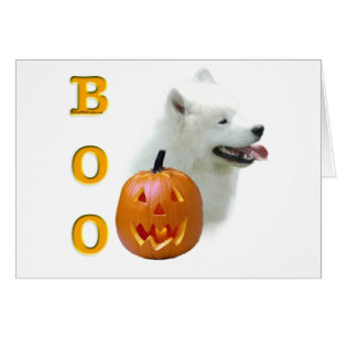 Samoyed Boo