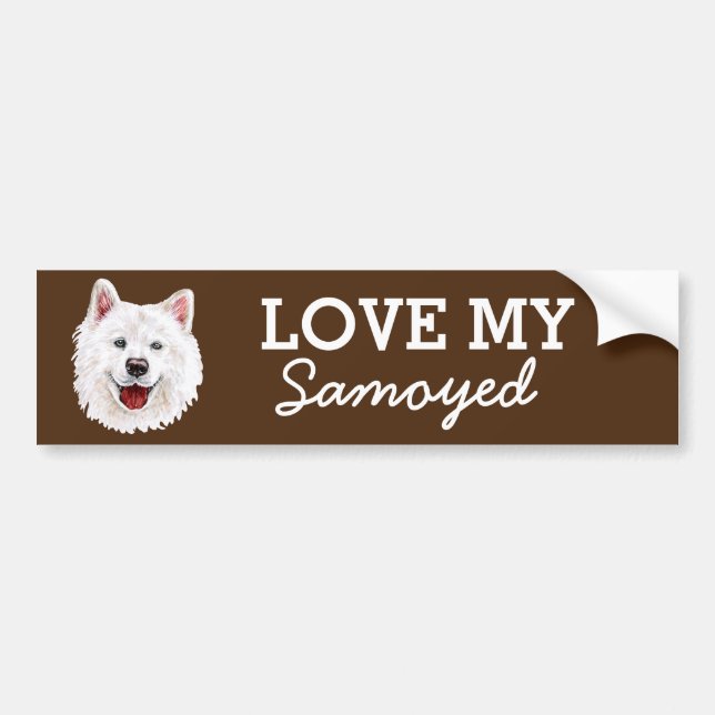 Samoyed Bumper Sticker (Front)