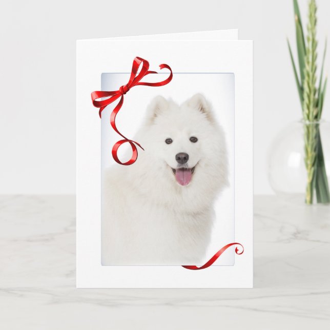 Samoyed Christmas Card (Front)