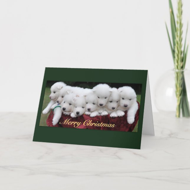 Samoyed Christmas Holiday Card (Front)