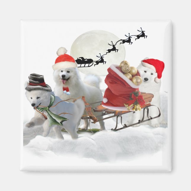 Samoyed Christmas Magents Magnet (Front)