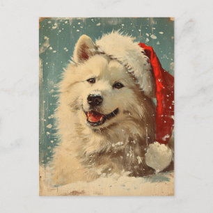 Samoyed christmas postcard