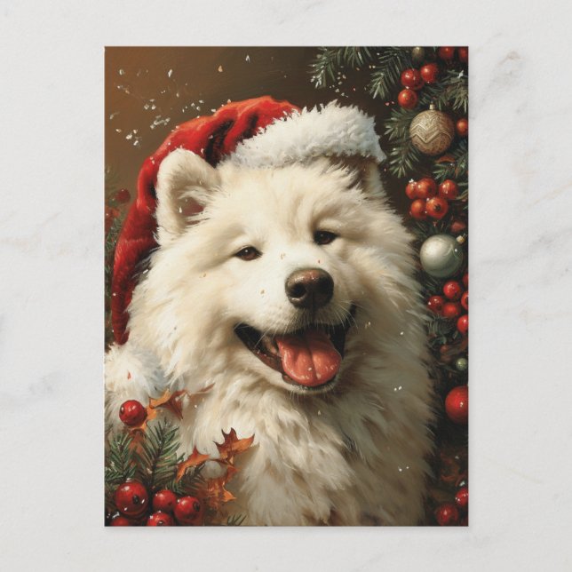 Samoyed Christmas  Postcard (Front)