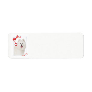 Samoyed Christmas Return Address Labels