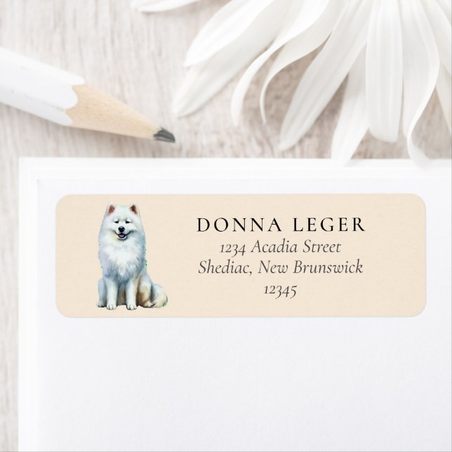 Samoyed Dog Address (Insitu)