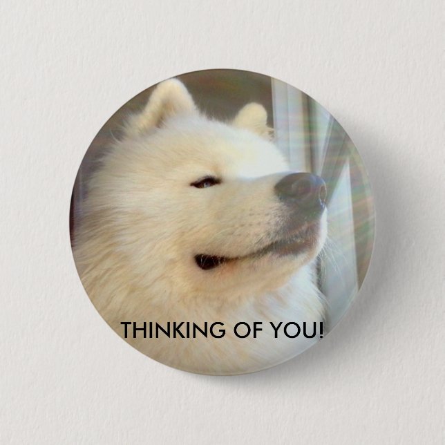 Samoyed dog Badge Thinking of You! Standard Size (Front)