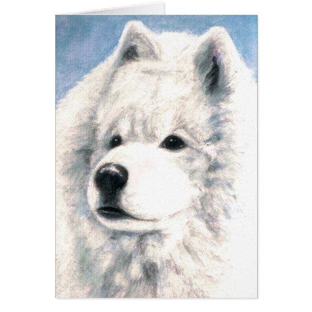Samoyed Dog Blank Card (Front)