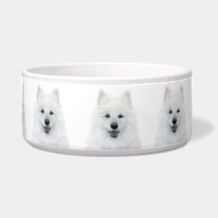Samoyed Dog Ceramic Pet Bowl by miart