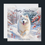 Samoyed Dog In Snow Merry Christmas Holiday Card<br><div class="desc">Send canine charm to friends and family with this Samoyed Christmas card. The elegant dog is pictured running happily through a snowy landscape, with evergreen trees, on a bright winter day. The picture is in a watercolour style. The greeting 'Merry Christmas' is at the top in elegant script typography, while...</div>