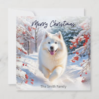 Samoyed Dog In Snow Merry Christmas Holiday Card