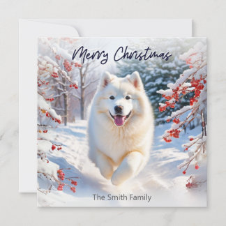 Samoyed Dog In Snow Merry Christmas Holiday Card