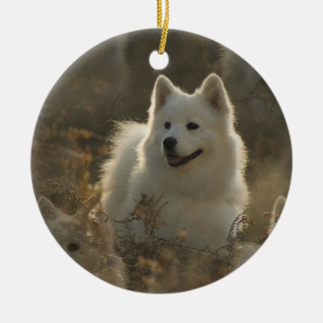 Samoyed Dog Ornament (Front)