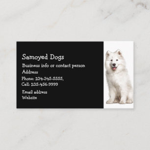 Samoyed Dogs Breeder Pet Sitter   Business Card