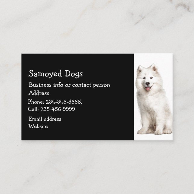 Samoyed Dogs Breeder Pet Sitter   Business Card (Front)