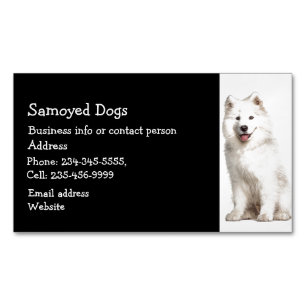 Samoyed Dogs Breeder Pet Sitter   Business Card