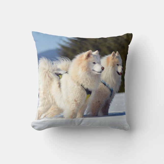 Samoyed Dogs in the Snow Cushion (Front)