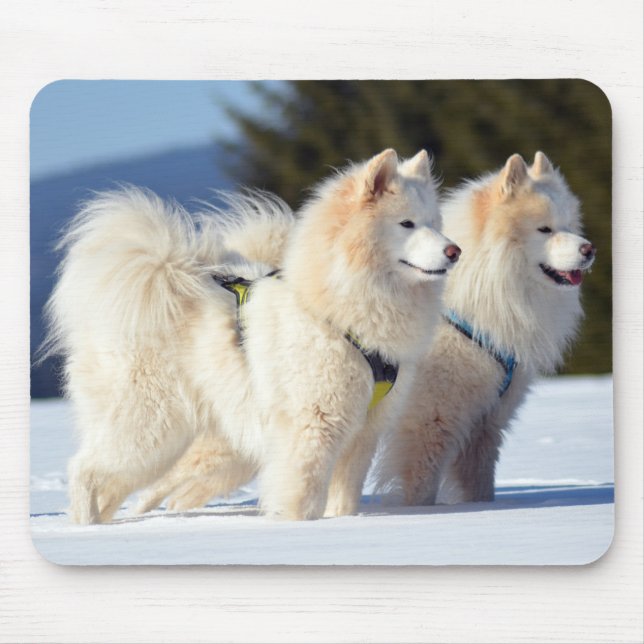 Samoyed Dogs in the Snow Mouse Mat (Front)