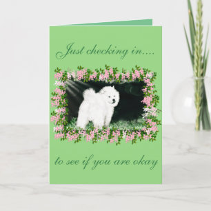 Samoyed Encouragement Greeting Card;Designs by Lee Card