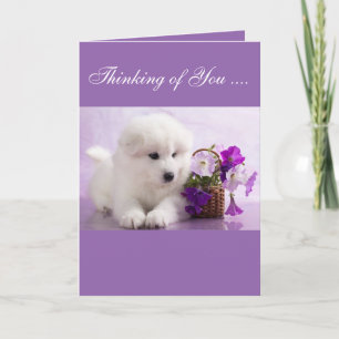 Samoyed Greeting Card; Thinking of You Card