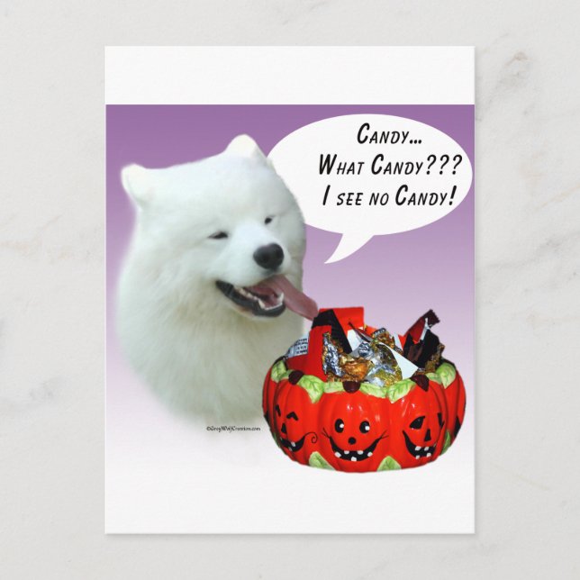 Samoyed Halloween Candy Postcard (Front)